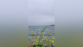 亮gnailux的直播间