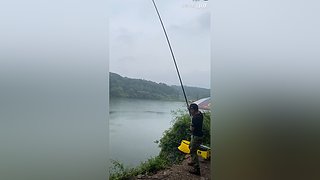 亮gnailux的直播间