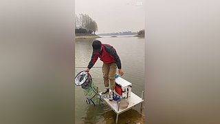 亮gnailux的直播间
