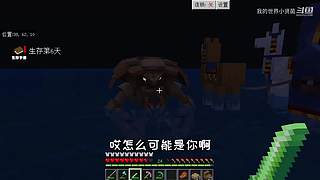 小贤菌惊变100天生存