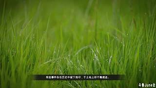 帝国时代4战役剧情