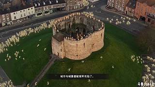 帝国时代4战役剧情