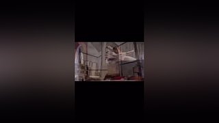 斗鱼和棋胜
