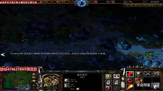 魔兽达尔文进化岛直播间