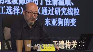 给我出胡八一一一一一