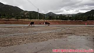 上海全程318硬核骑行西藏