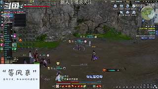 新区DD团招打手