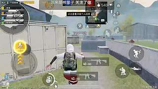 和平精英氾东