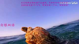 【有车位】愿快乐与好运常伴你我OvO