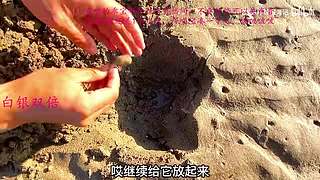【有车位】愿快乐与好运常伴你我OvO