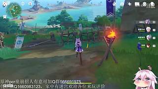 开始养老，mhy的老年韭菜