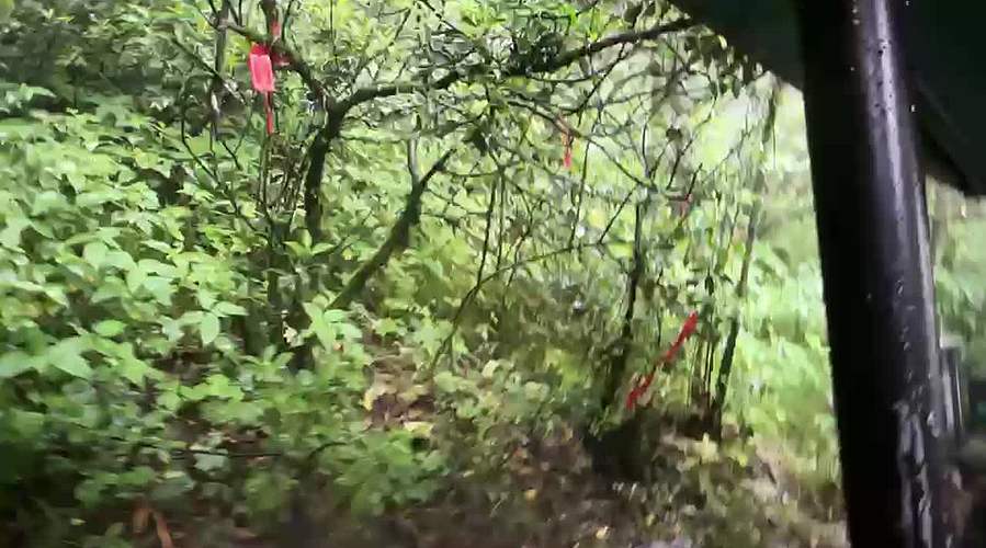 爬山！！！爬山