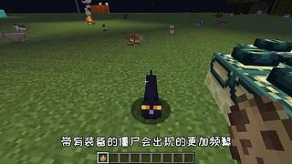 萌宠电影剪辑的直播间