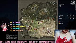【有车位】 笨蛋胡桃