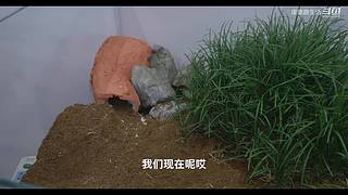 娱乐大于一切 10440627