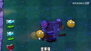猪哥游戏解说的直播间