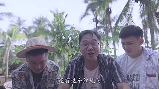你的海南军阀给你带来最地道的赶海