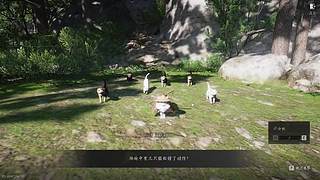 新的开始新的人生 11643816