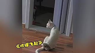 唉呀妈呀！笑抽抽了！
