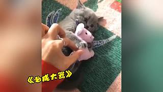 唉呀妈呀！笑抽抽了！