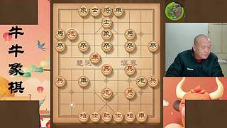 牛牛象棋直播间