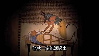 老高与小茉的睡前科普（持续更新中）