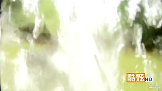 【贝爷】统治食物链顶端的男人~回来啦~！