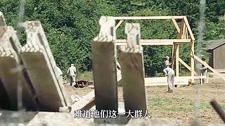 黑菠萝陪你侃大片