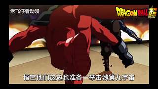 ☆卡卡罗特☆