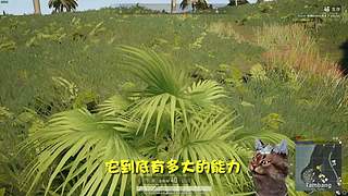 【大能】鲁大能万丈光芒