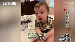 魏蜀吴群雄争霸，发弹幕加入国战