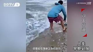 魏蜀吴群雄争霸，发弹幕加入国战
