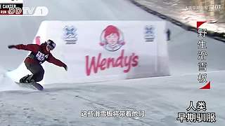 魏蜀吴群雄争霸，发弹幕加入国战