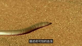 科学黑历史