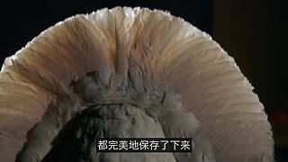 科学黑历史