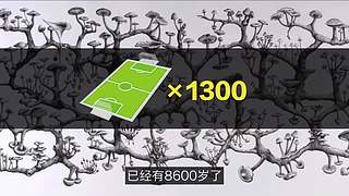 科学黑历史