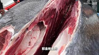中国海钓王游钓世界