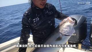 中国海钓王游钓世界