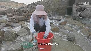 渔妹带你来赶海，来看有没有你没见过的