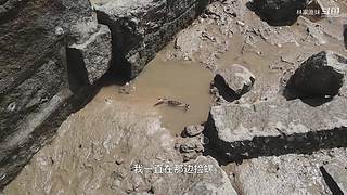 渔妹带你来赶海，来看有没有你没见过的