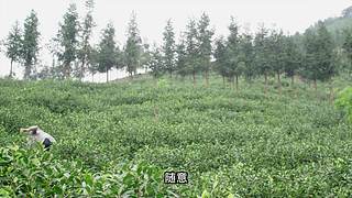 当下频道的当下世界