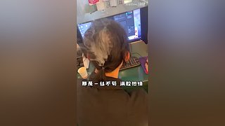 妈见打ovo的直播间