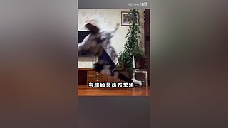 妈见打ovo的直播间