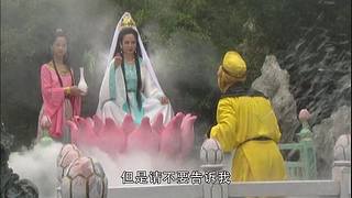 四叶草影视的直播间
