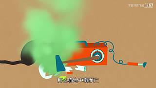 宇宙的尽头是什么？