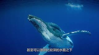 宇宙的尽头是什么？