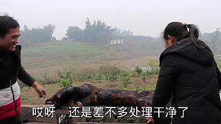 生蚝还可以这样吃
