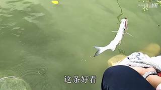 不做大师，只做中国好钓友