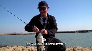 【钓鱼】最专业的路亚钓法