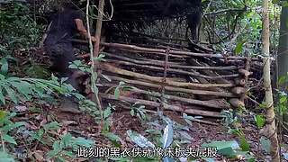 越南小哥的丛林生活